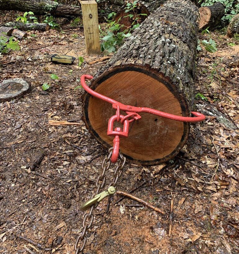 Moving a heavy log